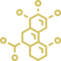 Crystallized enzymes